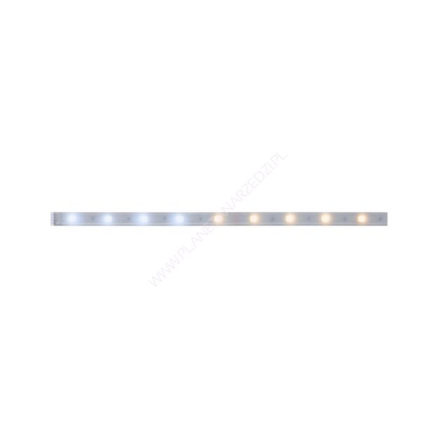 MaxLED 250 Strip 1m regulacja temperatury IP44 3,5W 230/24V Srebrny