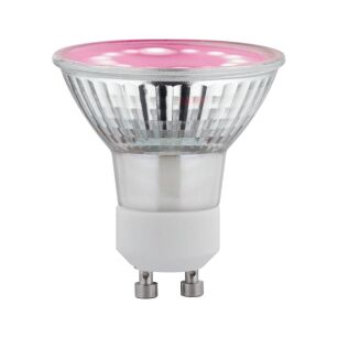 Źródło światła prowzrostowe LED Plant GU10 3,5W 95lm 1100K 230V szkło